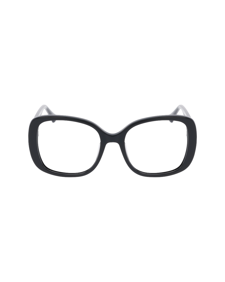 CASSIS NEGRO_1